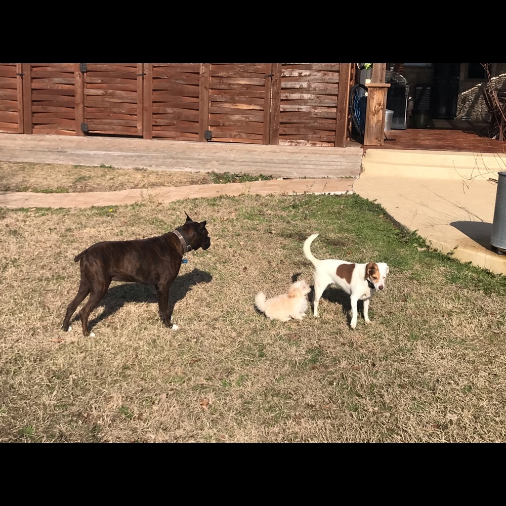 Meet your Posher, Edward